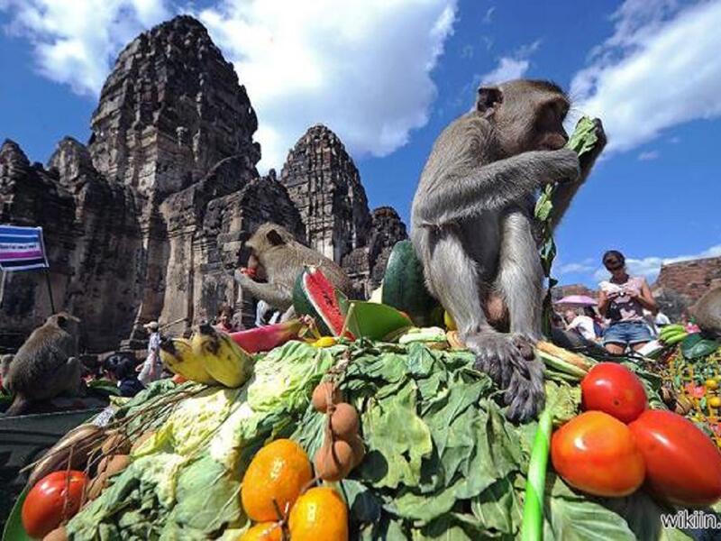 مهرجان بوفيه القردة في تايلاند حيث تقام مأدبة كبيرة، وتوضع فيها كل ما تشتهي القردة مِن طعام وفواكة وتسالي.ويُقدّم لهم بخدمة 5 نجوم، على موائد فخمة، مُغطّاة بمفارش من الحرير والساتان. بطريقة تثير شهيتك وتجعلك تتمنى لوكنت قرداً