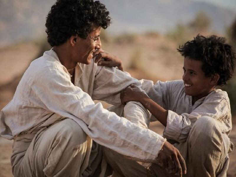 تدور أحداث الفيلم، حول الفتى البدوي ذيب وشقيقه حسين اللذان يتركان قبيلتهما في رحلة محفوفة بالمخاطر يموت خلالها حسين فتدفع الصعوبات بذيب الى تحمل مسؤوليات كبيرة في سن مبكرة ويقدم "ذيب" في طياته رحلة نضج الأخوين وتفاصيل مبادئ الرجولة والثقة التي تربيا عليها.