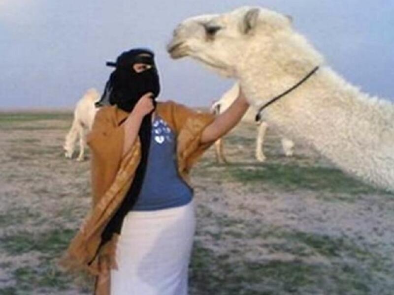 "تقبيل حيوان أليف"وعلى الرغم من أن تقبيل الحيوانات الأليفة تصرّفٌ عفوي محض، فإن البعض تأخذه الحمية وتصيبه الغيرة، فقد أقدم رجلٌ على كتابة شهادة طلاقه بعد أن رأى زوجته تقبّل جملاً فرحة بنمو القطيع، وزيادة الرزق.