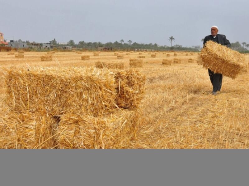 Wide areas of the north and east – where much of Syria’s grain is grown and its oil is extracted – have been seized by the hard-line ISIS  group.