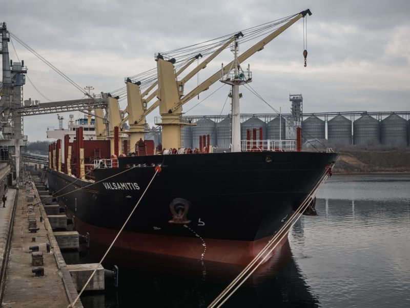 First grain ships arrive in Ukraine via new route