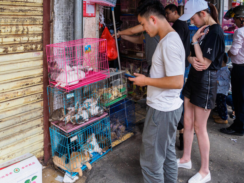 China's ‘Bushmeat’ Trade Underscores A Growing Risk To Human Health