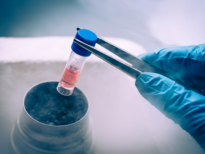 UAE, Israeli Stem Cells Centres Ink Collaboration Agreement