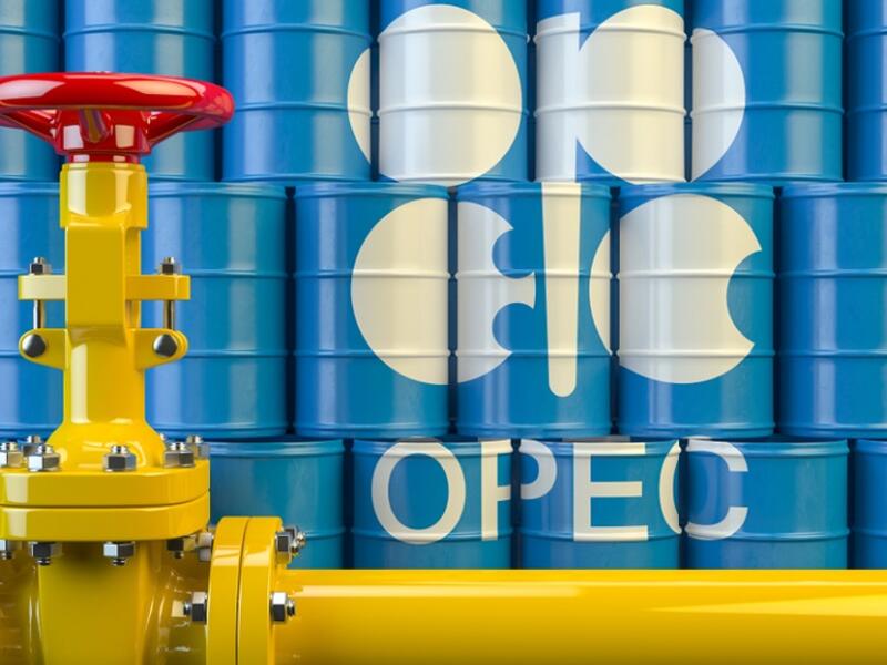 OPEC Recommends Additional Curbs on Oil Output As Coronavirus Saps Demand