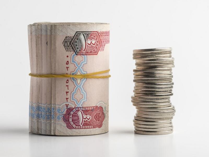 The budget for the fiscal year 2019 was the largest in the UAE with zero-deficit. 