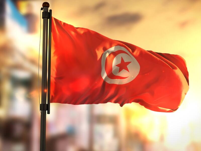 The Tunisian government established an exceptional program to store 100,000 tons of olive oil during this season. (Shutterstock) Tunisia: Olive Oil Exports Expected To Reach Record High Despite Crisis