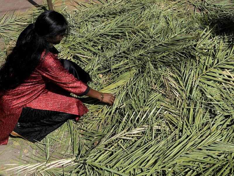 An Indian Christian devotee collects palm branches for a Palm Sunday service at Wesley church in Secunderabad, the twin city of Hyderabad on April 14, 2019. Palm Sunday marks the sixth and last Sunday of the Christian Holy month of Lent and the beginning of Holy Week. NOAH SEELAM / AFP