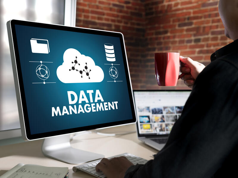 Database Manager