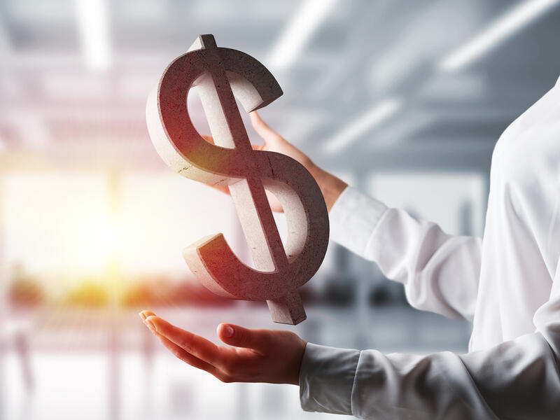 The US Dollar ($)
