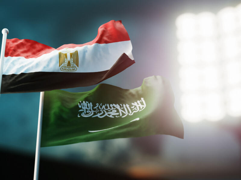 تملك "فودافون" 55% في "فودافون مصر"، بينما تحوز المصرية للاتصالات النسبة الباقية