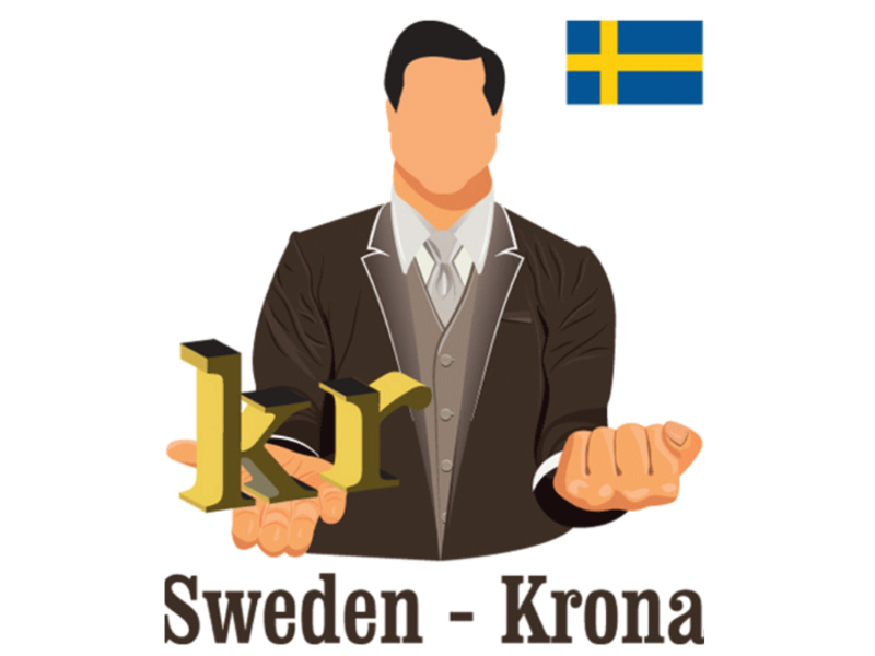 The Swedish krona (kr)