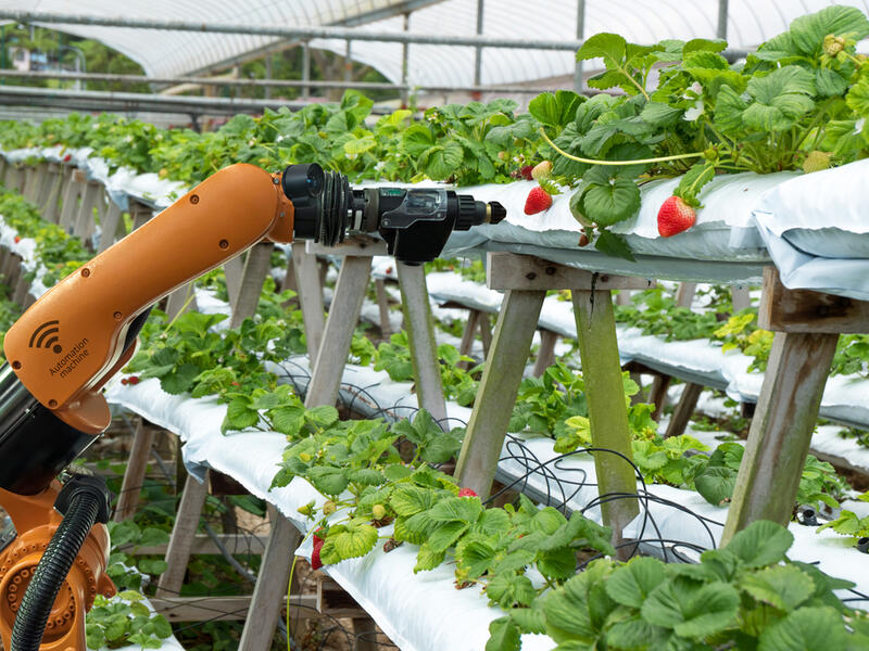 The components of the Fourth Industrial Revolution such as Big Data, the Internet of Things, and artificial intelligence are being integrated throughout the agriculture supply chain.