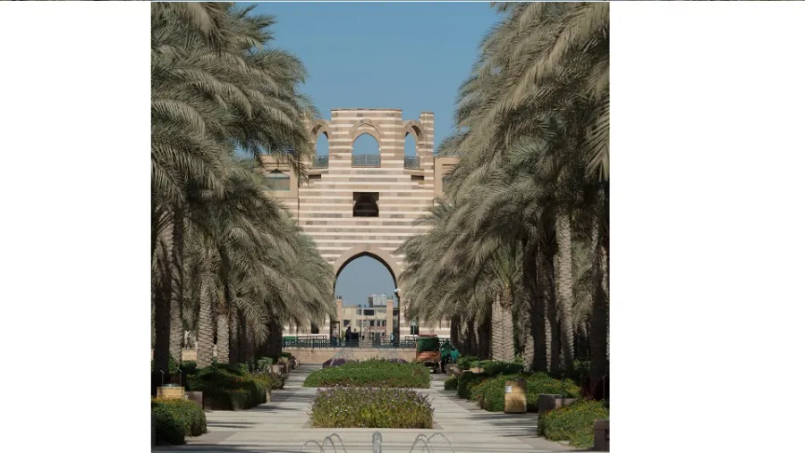 دار نشر الجامعة الأمريكية بالقاهرة تنشئ  مجلس أعضاء هيئة التدريس لمراجعة مشروعات الكتب