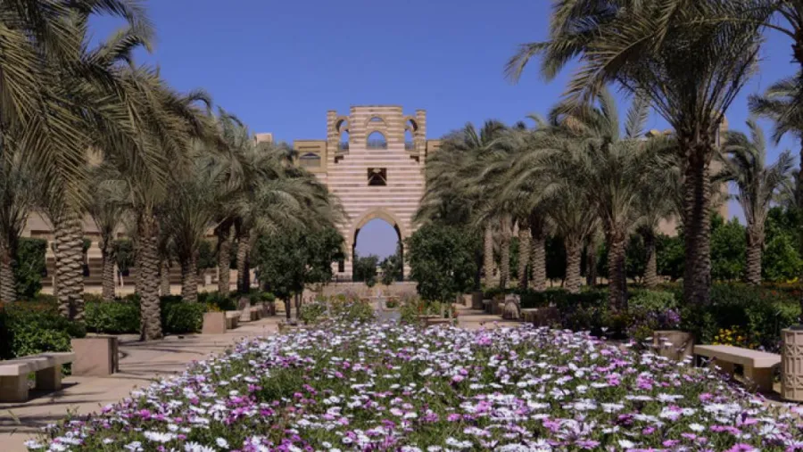الجامعة الأمريكية بالقاهرة الجامعة تتصدر مصر وإفريقيا في تصنيف الجامعات المحافظة على اللون الأخضر والمعايير البيئية 