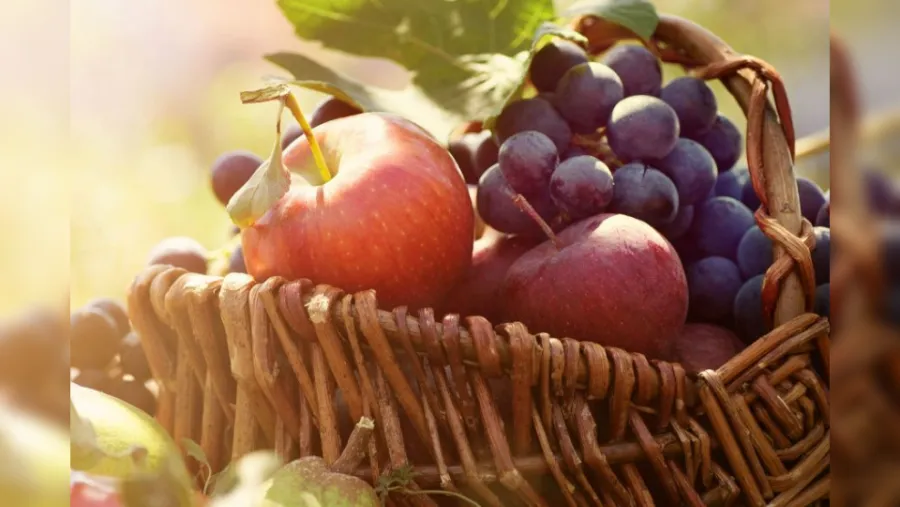 ADQ To Expand Its Food & Agriculture Portfolio by Acquiring Significant Stake in Global, Fresh Fruit Leader, Unifrutti
