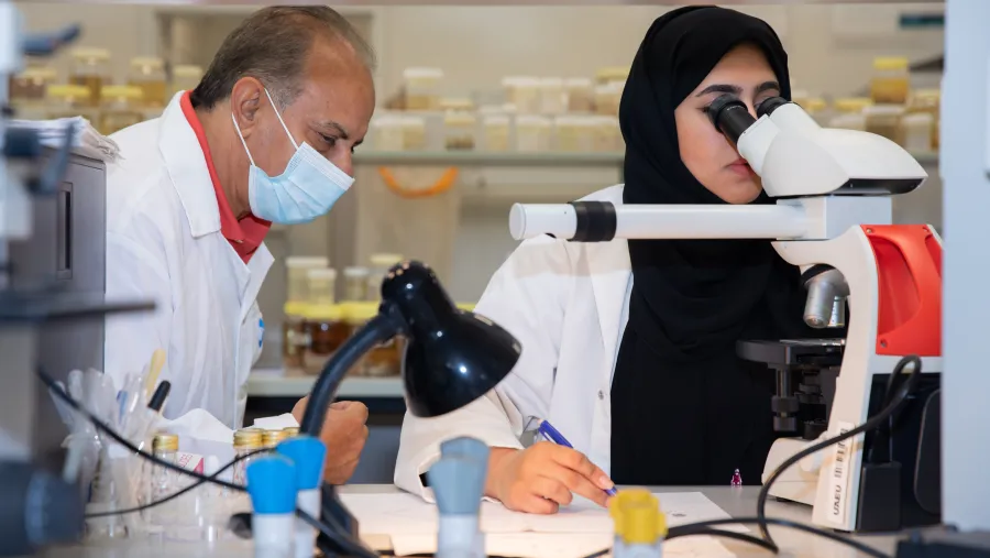 إنجاز علمي جديد على المستوى الدولي لجامعة الإمارات