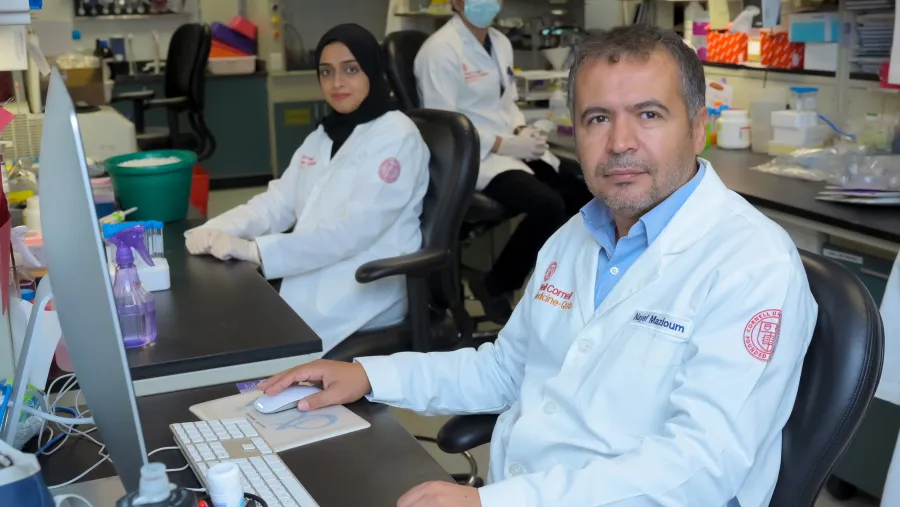 باحثون من وايل كورنيل للطب - قطر يكتشفون الآليات المؤدّية للالتهاب في أمراض السمنة والسرطان والسكري من النوع الثاني