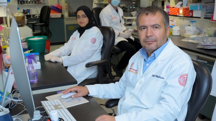 باحثون من وايل كورنيل للطب - قطر يكتشفون الآليات المؤدّية للالتهاب في أمراض السمنة والسرطان والسكري من النوع الثاني