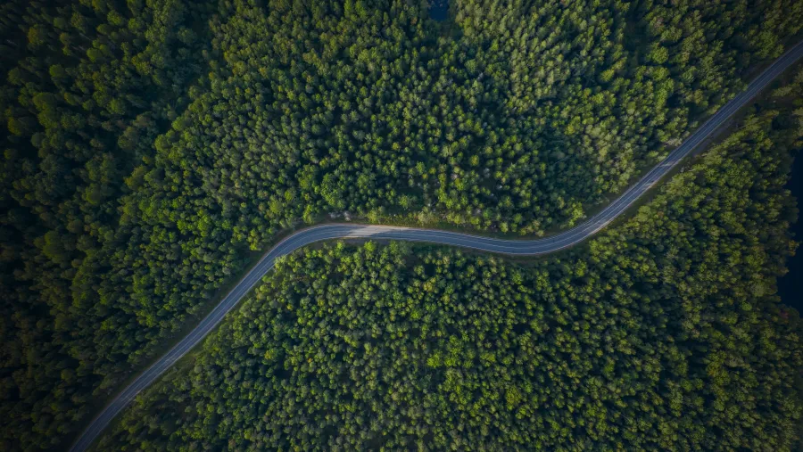 أودي الشرق الأوسط تعزز التنقل المستدام من خلال مبادرة Tree-Nation 