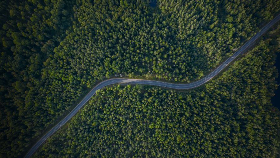 أودي الشرق الأوسط تعزز التنقل المستدام من خلال مبادرة Tree-Nation 