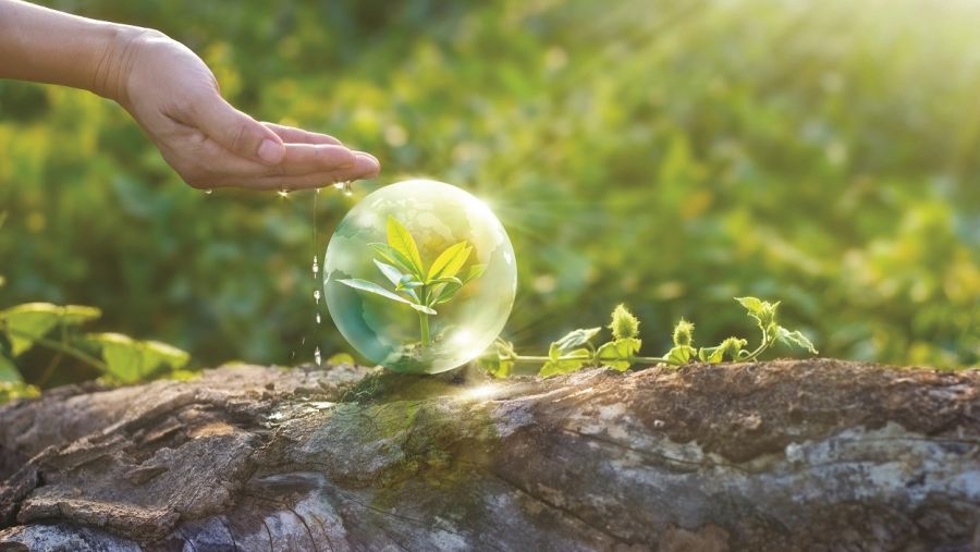 Axis Communications Sustainability Report showcases commitment to sustainable business practices
