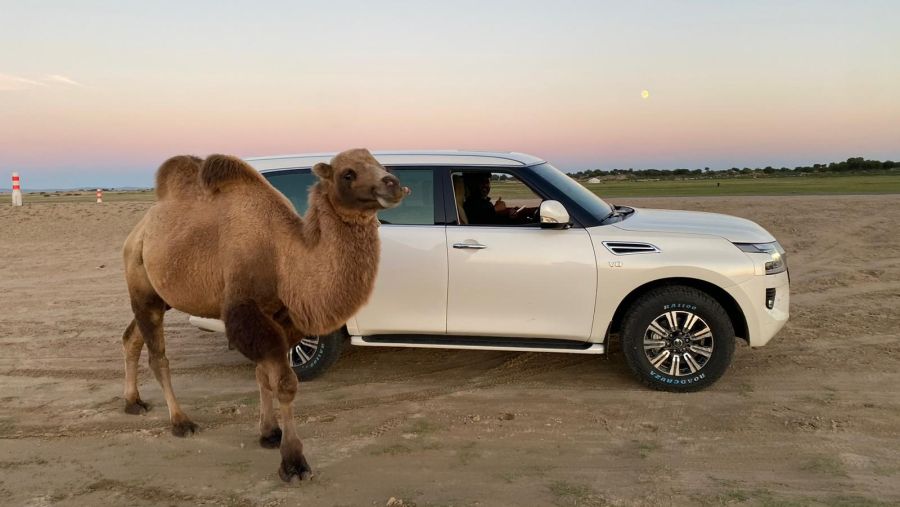 Nissan Al Babtain joins Kuwaiti travel-adventurer Al-Jowesri on his global expedition to explore diverse cultures