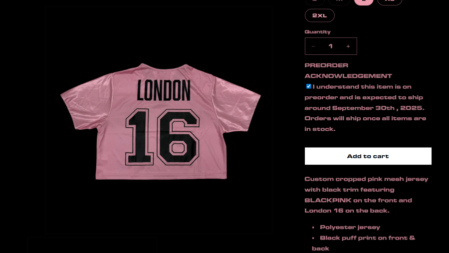 Kaspersky identifies merchandise scams emerging during BlackPink’s world tour