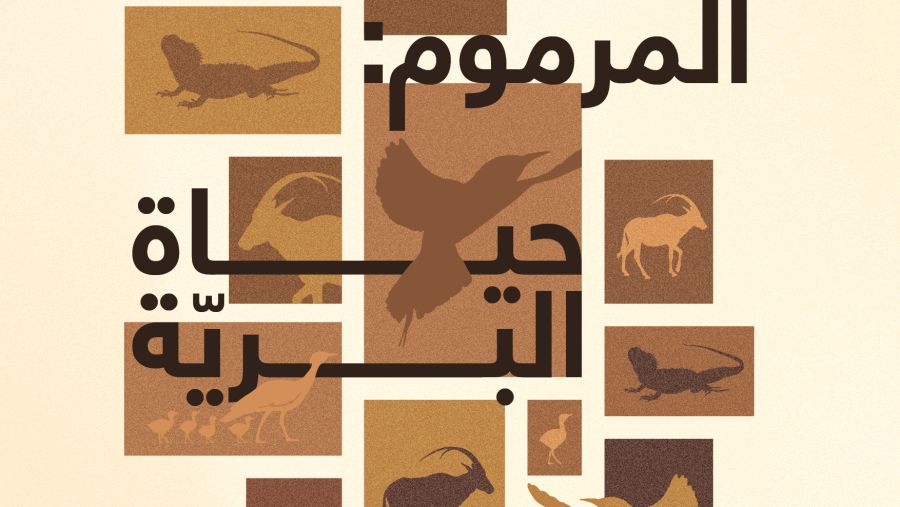 معرض "المرموم: حياة البريّة" يوثق روائع محمية المرموم وعناصرها الطبيعية