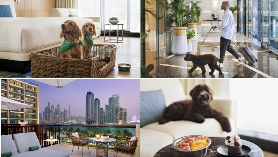 Marriott Resort Palm Jumeirah Launches ‘pawfect Stay on the Palm’ 