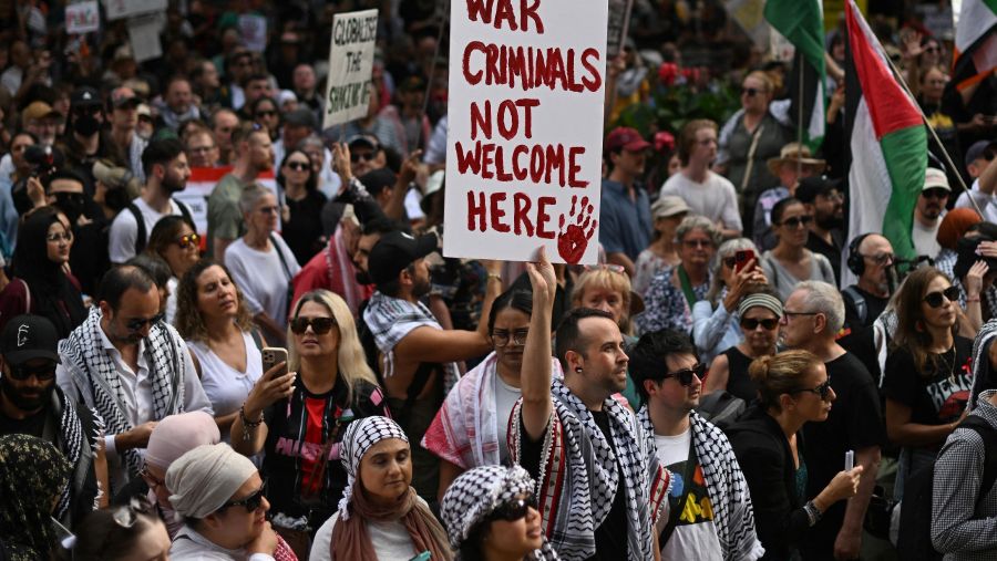 Pro-Palestinian protest