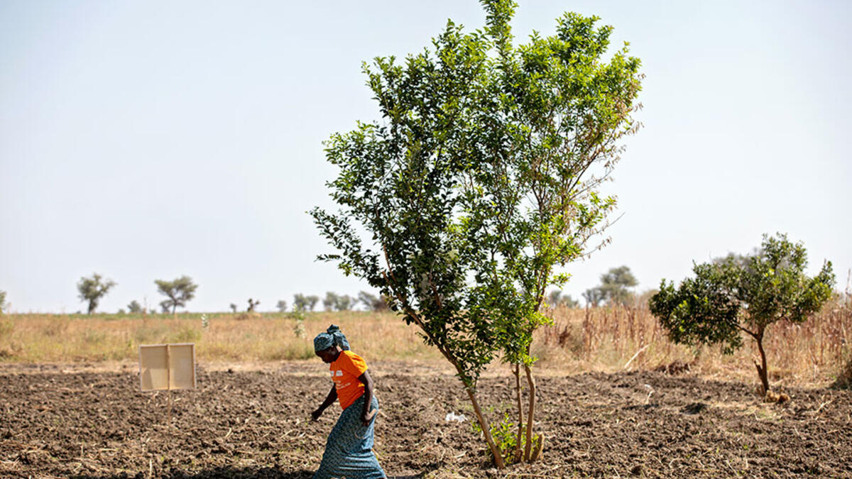 The number of refugees reached 25.9 million around the world in 2018. (Photo: UN Women/Christopher Herwig)