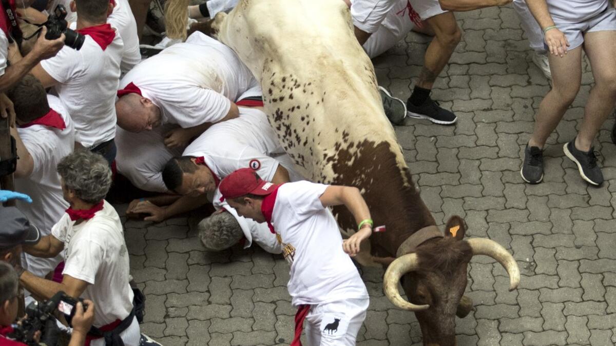 On each day of the festival six bulls are released at 8:00 a.m. (0600 GMT) to run from their corral through the narrow, cobbled streets of the old town over an 850-meter (yard) course. Ahead of them are the runners, who try to stay close to the bulls without falling over or being gored.  JAIME REINA / AFP