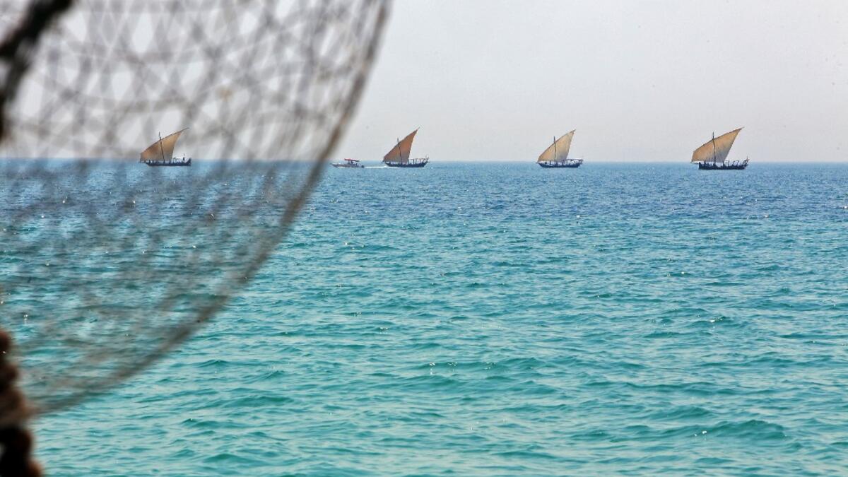 Pearl-diving trips are held annually under the patronage of the Kuwaiti emir in order to keep alive traditions that accompanied the once important national trade of pearl diving, prior to the discovery of oil. Yasser Al-Zayyat / AFP