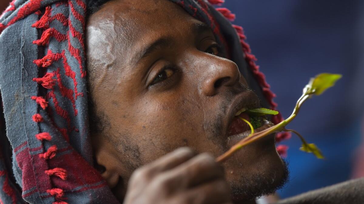Mohamed Omar, who has been chewing khat for the last ten years, chews the mild stimulant in an area known as 'Little Mogadishu' in Addis Ababa on July 23, 2019. In Ethiopia, a rehab centre takes on khat addiction, AFP reports on August 28, 2019. MICHAEL TEWELDE / AFP