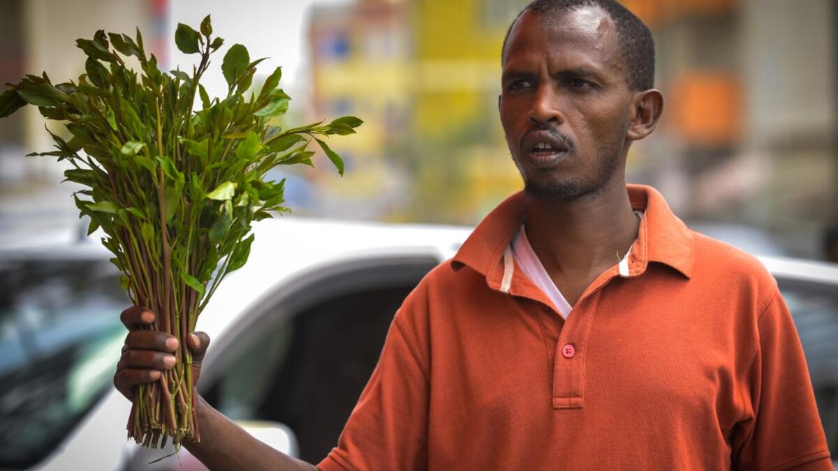 A vendor holds up a handful of khat twigs as he calls for buyers at a road side in an area known as 'Little Mogadishu' in Addis Ababa on July 23, 2019. In Ethiopia, a rehab centre takes on khat addiction, AFP reports on August 28, 2019. MICHAEL TEWELDE / AFP