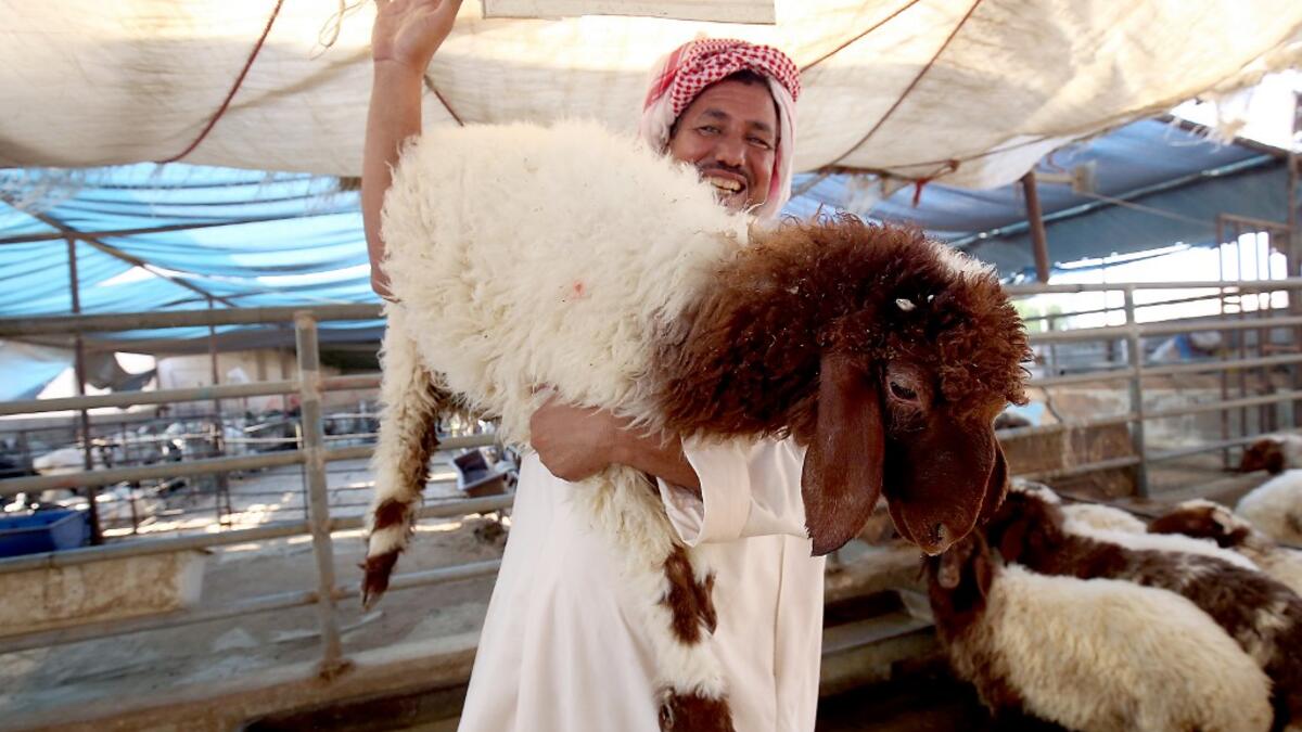 A vendor carries a sheep at a livestock market in Kuwait City on August 5, 2019, ahead of the Muslim holiday of Eid al-Adha or the "Feast of Sacrifice" which marks the end of the annual pilgrimage or Hajj to the Saudi holy city of Mecca and is celebrated in remembrance of Abraham's readiness to sacrifice his son to God. Yasser Al-Zayyat / AFP