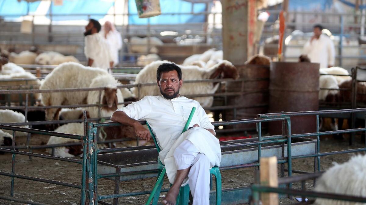 A vendor waits for customers at a livestock market in Kuwait City on August 5, 2019, ahead of the Muslim holiday of Eid al-Adha or the "Feast of Sacrifice" which marks the end of the annual pilgrimage or Hajj to the Saudi holy city of Mecca and is celebrated in remembrance of Abraham's readiness to sacrifice his son to God. Yasser Al-Zayyat / AFP