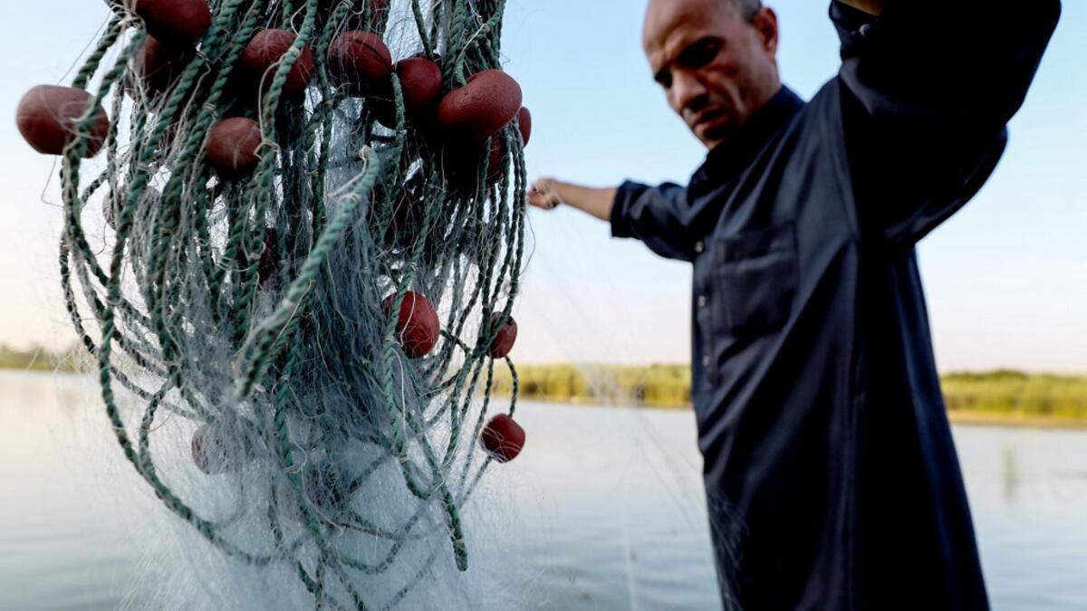 The "Pharaonic Sea" is the name of a large water body in the province of Monufia, an area of 2500 acres and overlooking 50 villages. Mohamed el-Shahed / AFP