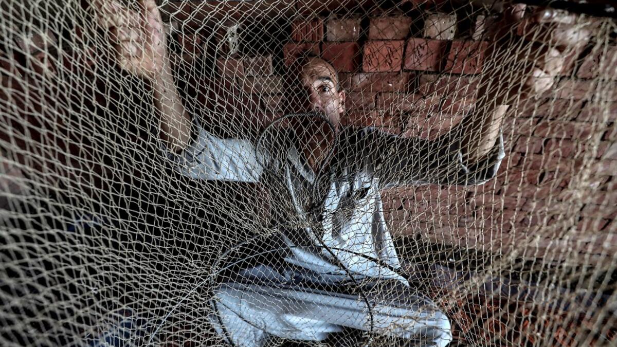 The "Pharaonic Sea" is the name of a large water body in the province of Monufia, an area of 2500 acres and overlooking 50 villages. Mohamed el-Shahed / AFP