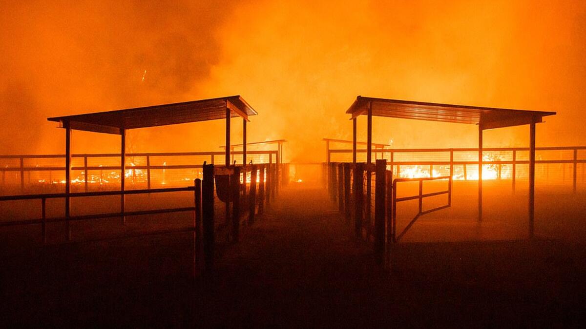 Torched: A farm building is ablaze in Windsor, California during the Kincade Fire which more than 3,000 firefighters and responders were battling last night. (AFP)