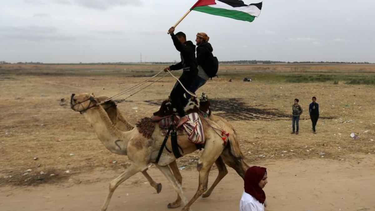 Camel near Palestinian bystanders during a local camel race held at the destroyed Gaza airport in Rafah in the southern Gaza Strip (Twitter)