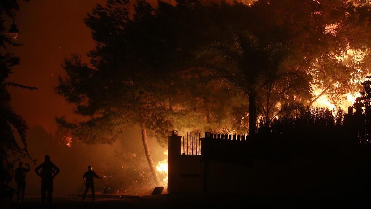 Sidon Fire Department and the Lebanese Army worked to put out the fire in the early hours of Monday, after it reportedly broke out at around 4:30 a.m. (Twitter)