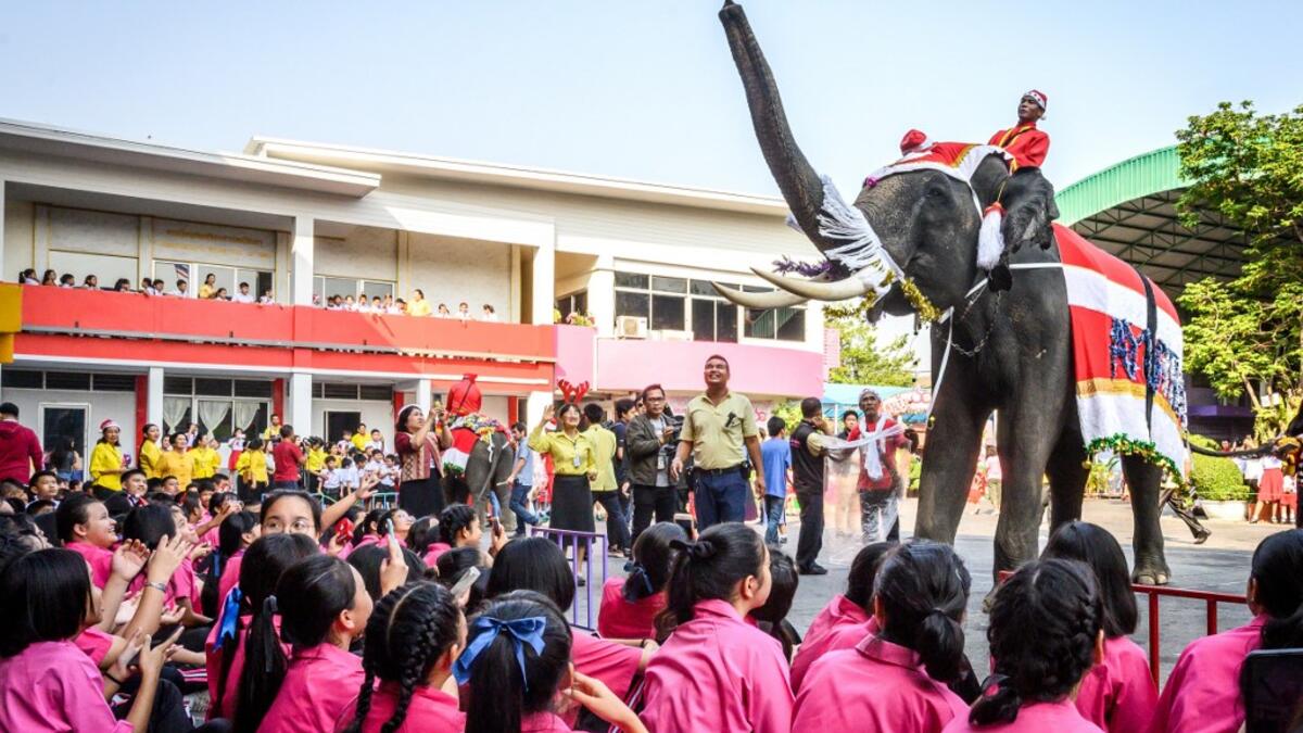 An elephant dressed in a Santa Claus costume presents gifts to schoolchildren during Christmas celebrations in Ayutthaya on December 23, 2019. Wearing red and white hats and a string of bells, Thai elephants passed out Christmas gifts to hundreds of schoolchildren on Monday despite growing criticism over using the animals in performances. The annual festive event is organised by a nearby elephant park, whose mahouts or handlers started in the early morning dressing the animals. Thailand is largely Buddhist