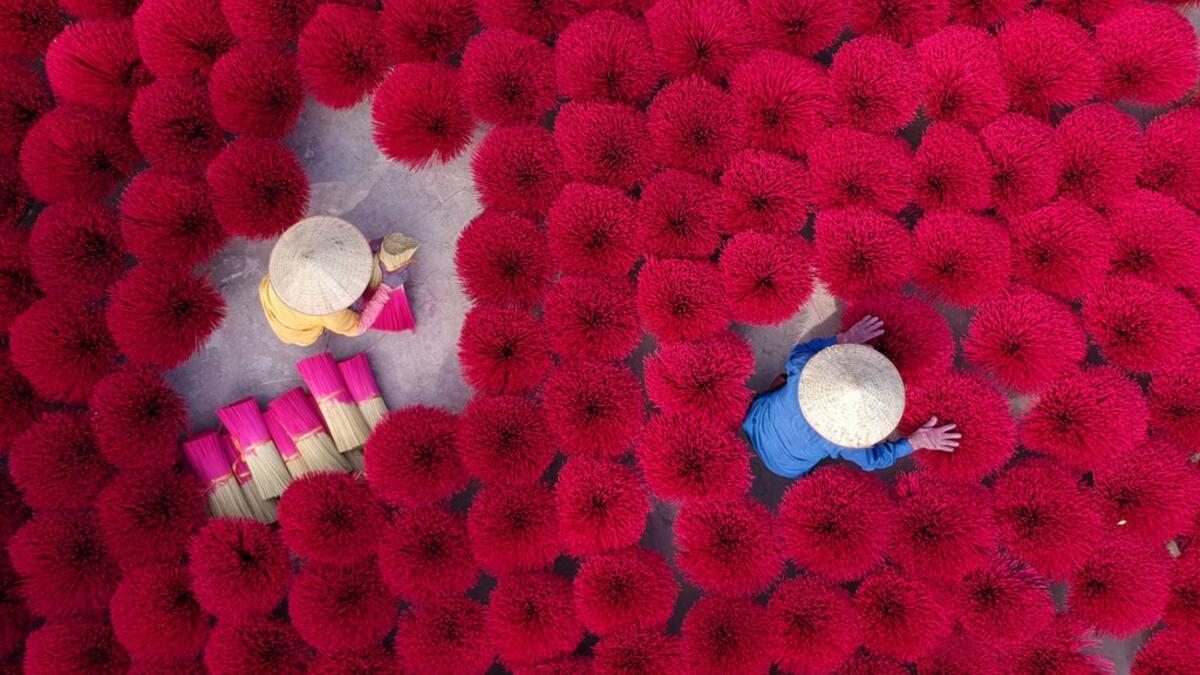 A Vietnamese woman collects dried incense sticks at a courtyard in Quang Phu Cau village on the outskirts of Hanoi on January 9, 2020 ahead of the upcoming Lunar New Year celebrations, referred to in Vietnam as Tet. Manan VATSYAYANA / AFP