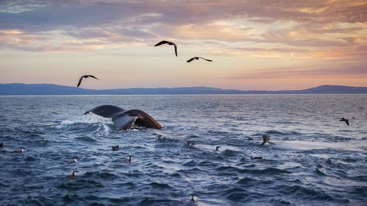 Monterey, California