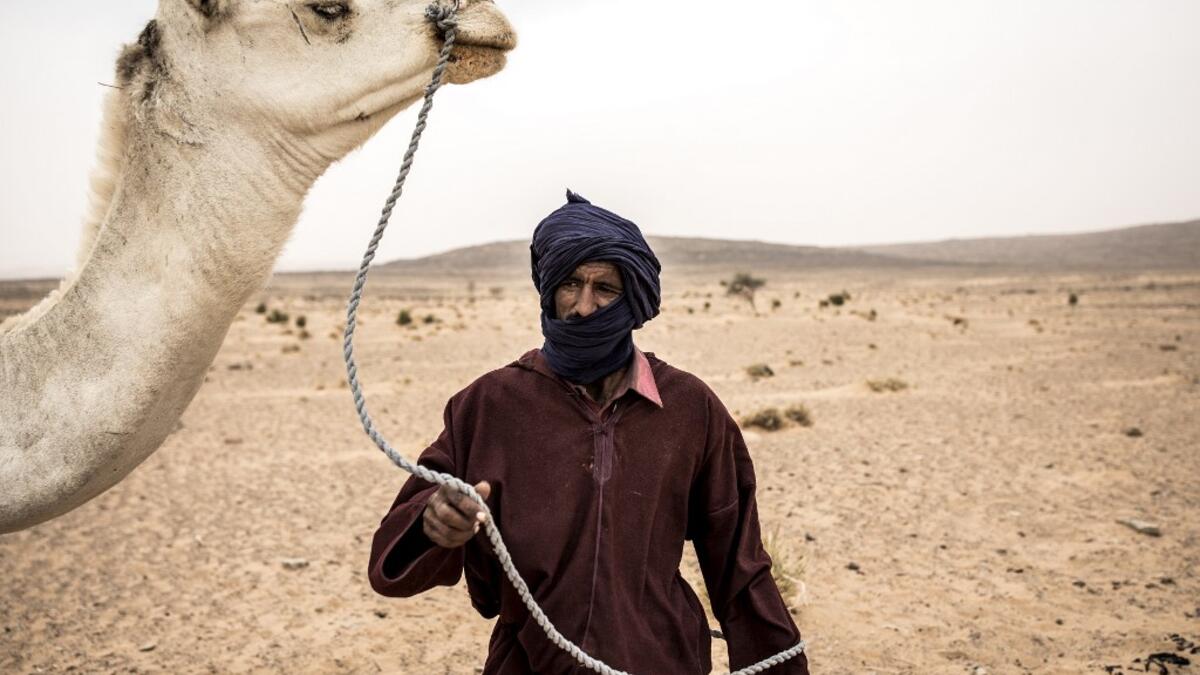 Cheih, from the small Nemadi(hunters) tribe in Eastern Mauritania is seen with a camel in desert between Tichitt to Aratane in Mauritania on January 23, 2020. In the arid West African country of Mauritania, the way of life of the traditional group of hunters known as the Nemadi is slowly disappearing. JOHN WESSELS / AFP