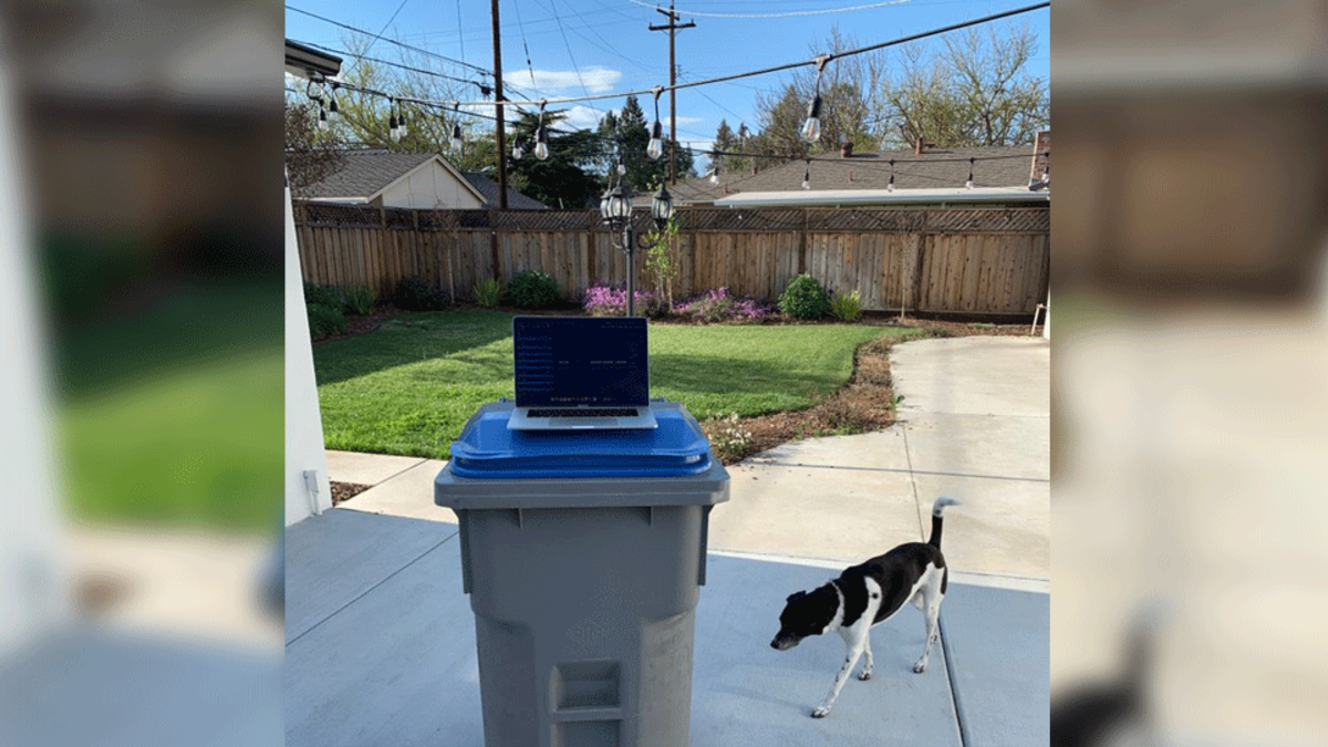 2. The “Environmentally-friendly” office.