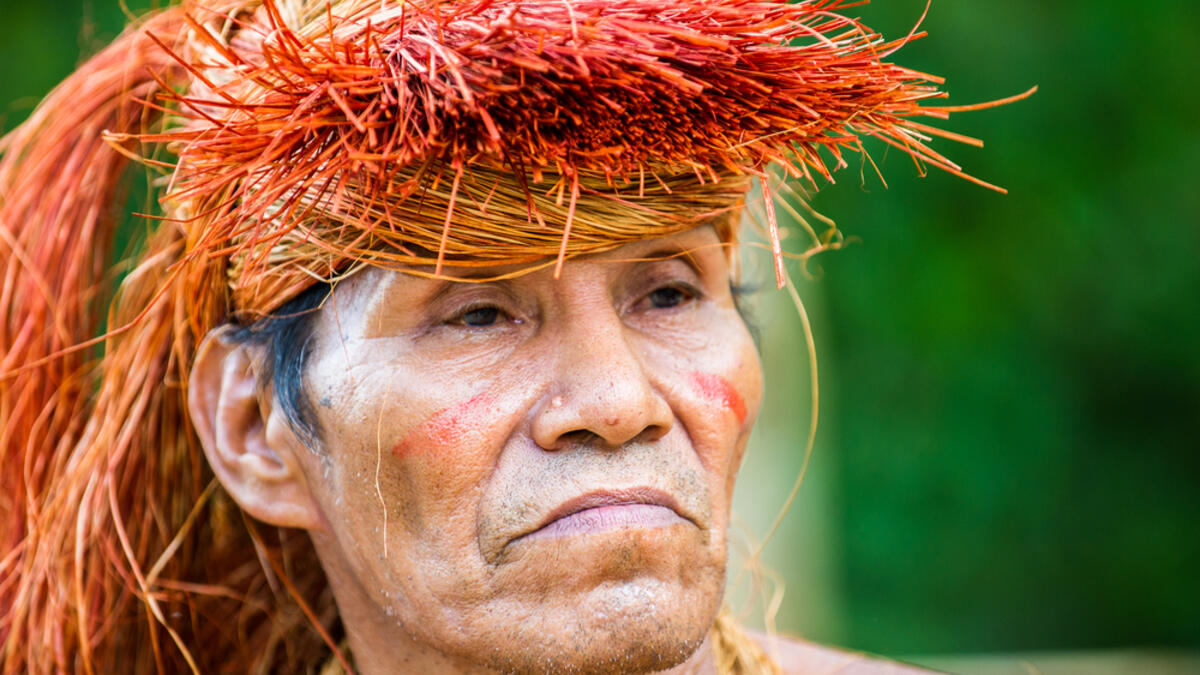 Unidentified Amazonian indigenous man (Shutterstock)