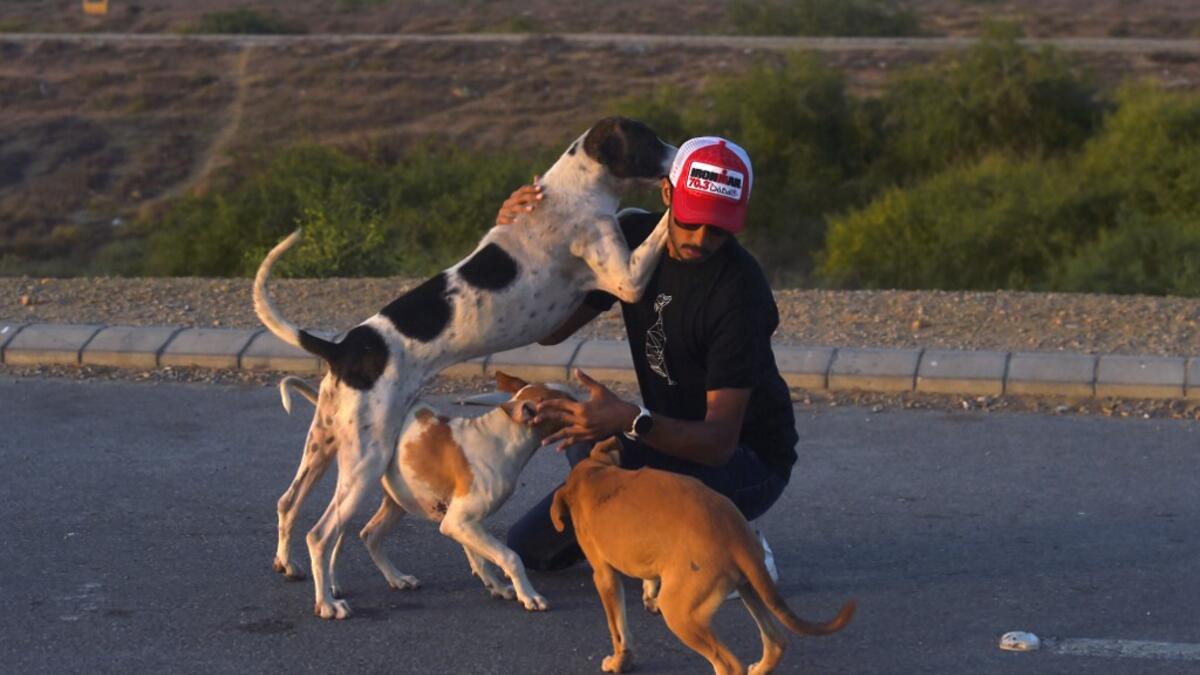 This photo taken on April 2, 2020 shows resident Ali Khurshid playing with stray dogs before feeding them on a street near Clifton beach during a government-imposed nationwide lockdown as a preventive measure against the COVID-19 coronavirus, in Karachi. Asif HASSAN / AFP