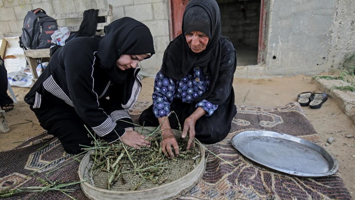 A Palestinian woman sifts lightly roasted wheat, harvested before maturity (freekeh), in Khan Yunis in the southern Gaza Strip on April 22, 2020, before being prepared to be used in a soup during the Muslim holy month of Ramadan which begins later in the week. From cancelled iftar (fast breaking) feasts to suspended mosque prayers, Muslims across the Middle East are bracing for a bleak month of Ramadan fasting as the threat of the COVID-19 pandemic lingers. The holy Muslims fasting month of Ramadan is a per